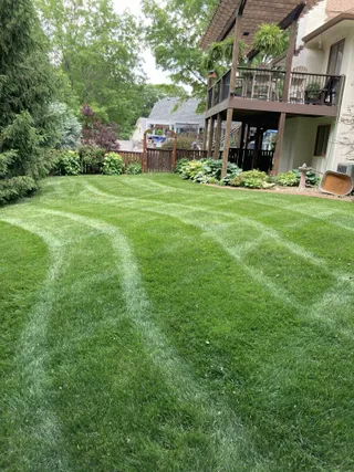 Perfectly striped lawn in Lake Quivira, KS maintained by Volz Lawn & Landscape